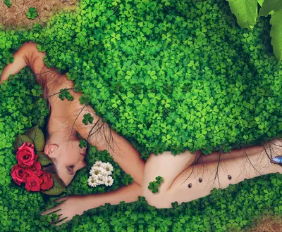 French House Mix