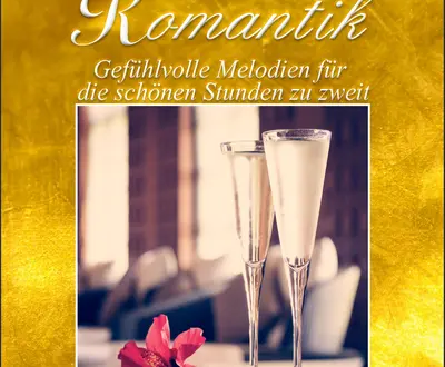 Entspannungsmusiker