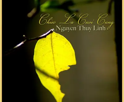 Nguyễn Thuy Linh