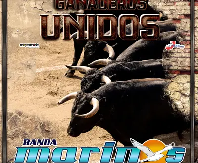 Banda Marinos