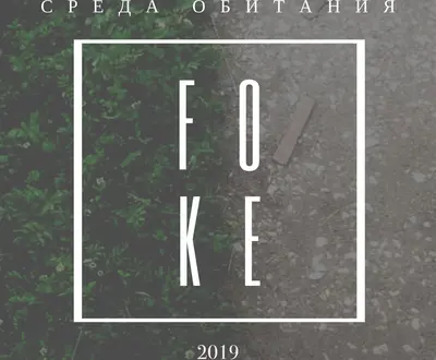 Foke