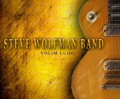 Steve Wolfman Band