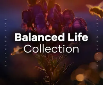 Balanced Life