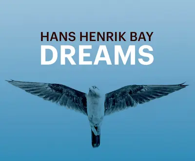 Hans Henrik Bay