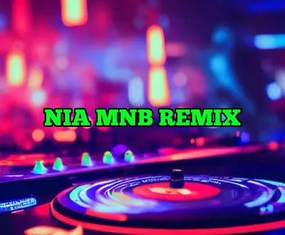 NIA MNB REMIX