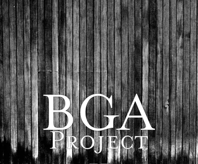 BGA