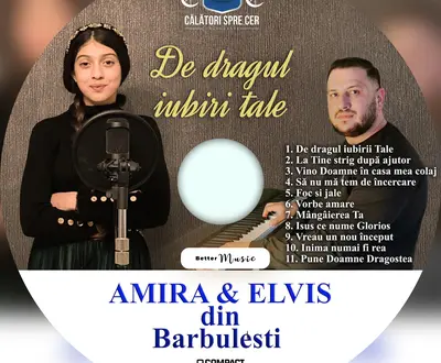 Elvis Din Barbulesti