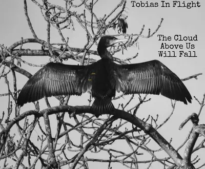 Tobias In Flight