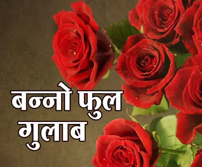 Rinku Gahlot