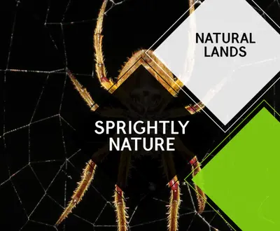 Airglow Nature Music Club