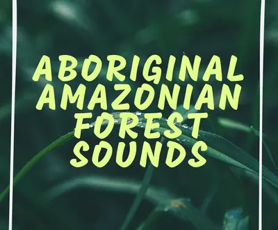Amazonian Sounds