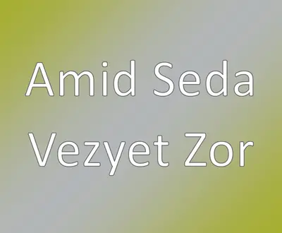 Amid Seda