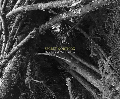 Secret North Ox