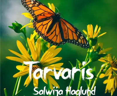 Salwija Haglund