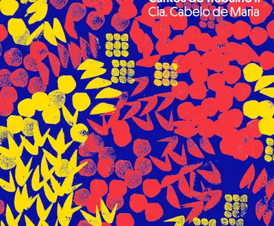 Cia Cabelo de Maria