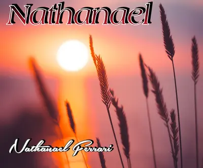 Nathanael Ferrari