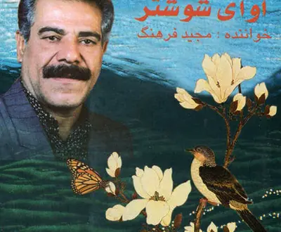 Majid Farhang