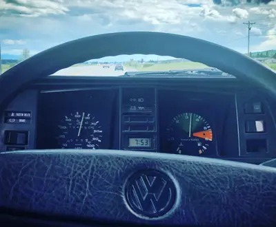 Love Is a Dog from Nebraska