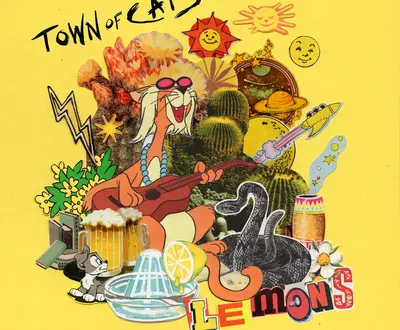 Town Of Cats