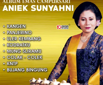 Aniek Sunyahni