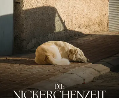 Entspannende Musik für Hunde