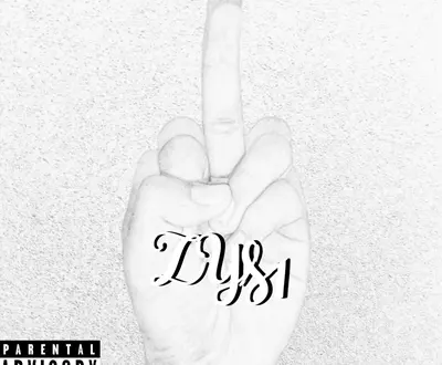 ZYs1