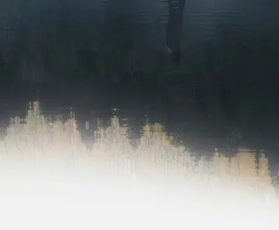 Ambient Chill Vibes