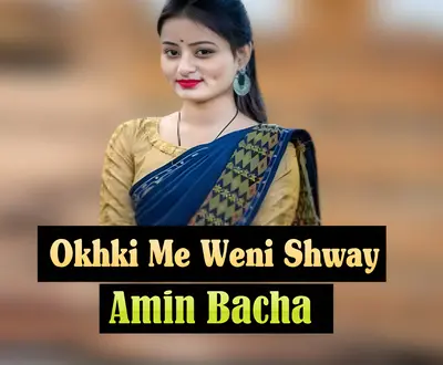 Amin Bacha