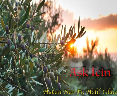 Hakan Nar