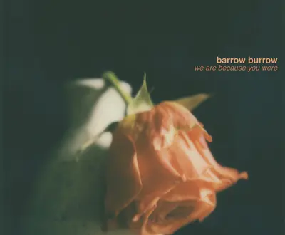 barrow burrow