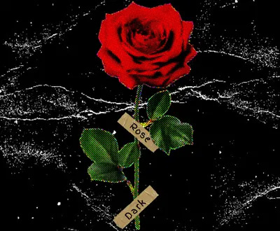 Rosedark