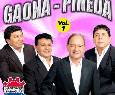 Gaona - Pineda