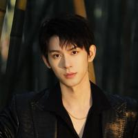 王上进演员头像
