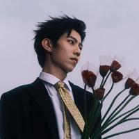 王萌洋演员头像