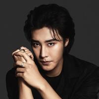 成也演员头像