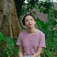 陈欣孺演员头像