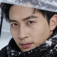 王北京演员头像