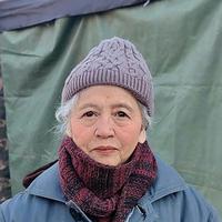 王凤云演员头像